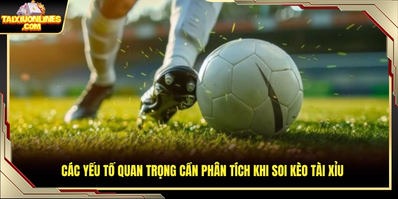 Những tiêu chí cần xem xét trước khi vào kèo